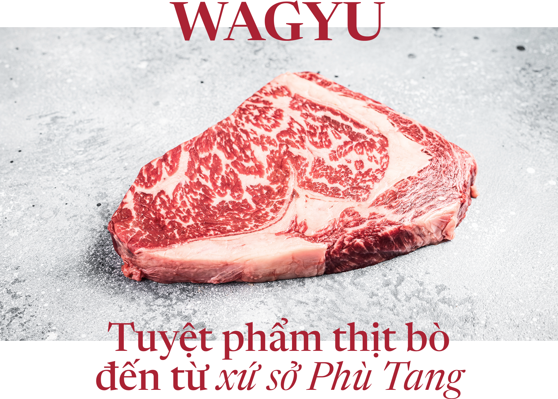 bò wagyu