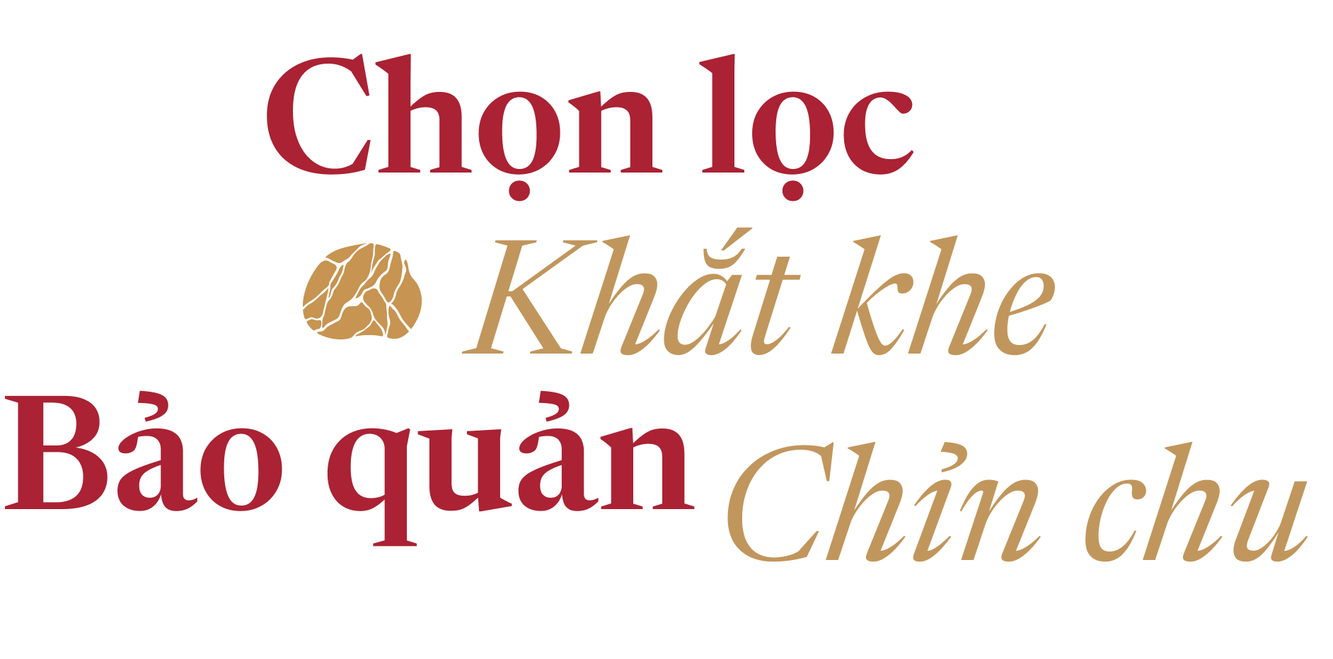 Chon-loc-Khat-khe-Bao-quan-Chin-chu
